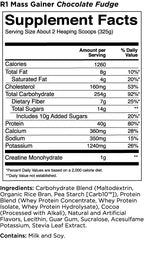 Rule1 Mass Gainer
