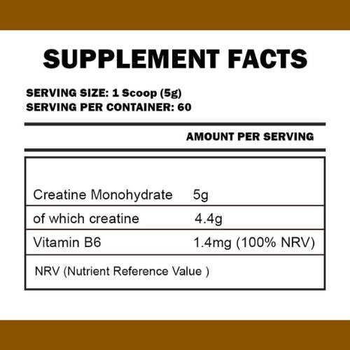 Kevin Levrone Gold Creatine