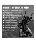 Biyode pure Himalayan Shilajit Resin 30 g