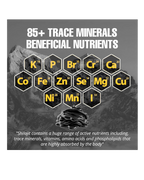 Biyode pure Himalayan Shilajit Resin 30 g