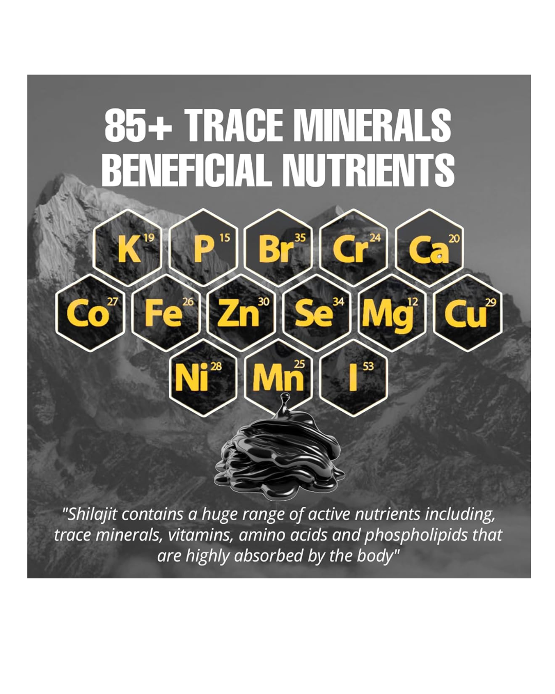 Biyode pure Himalayan Shilajit Resin 50 g